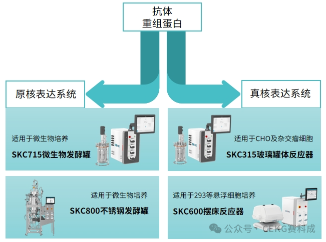 大图片13.png