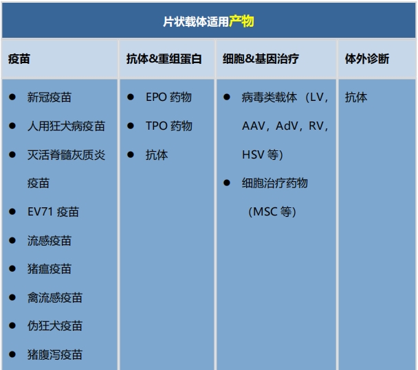 片状载体配图001.png