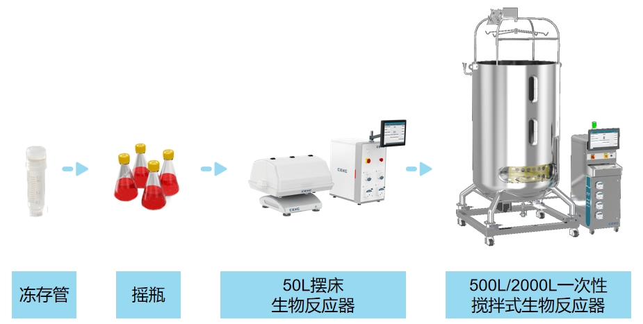 高效&革新：SKC900一次性反应器用于CHO-S细胞培养-配图116.png