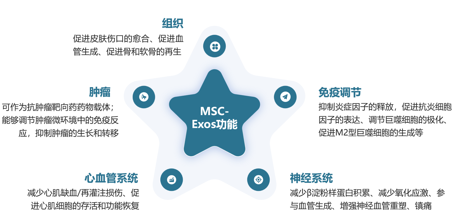 从实验室到规模化生产：MSC-Exo的产业化生产之路-配图1.png
