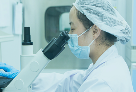 多联平行生物反应器：高通量筛选助力工艺表征