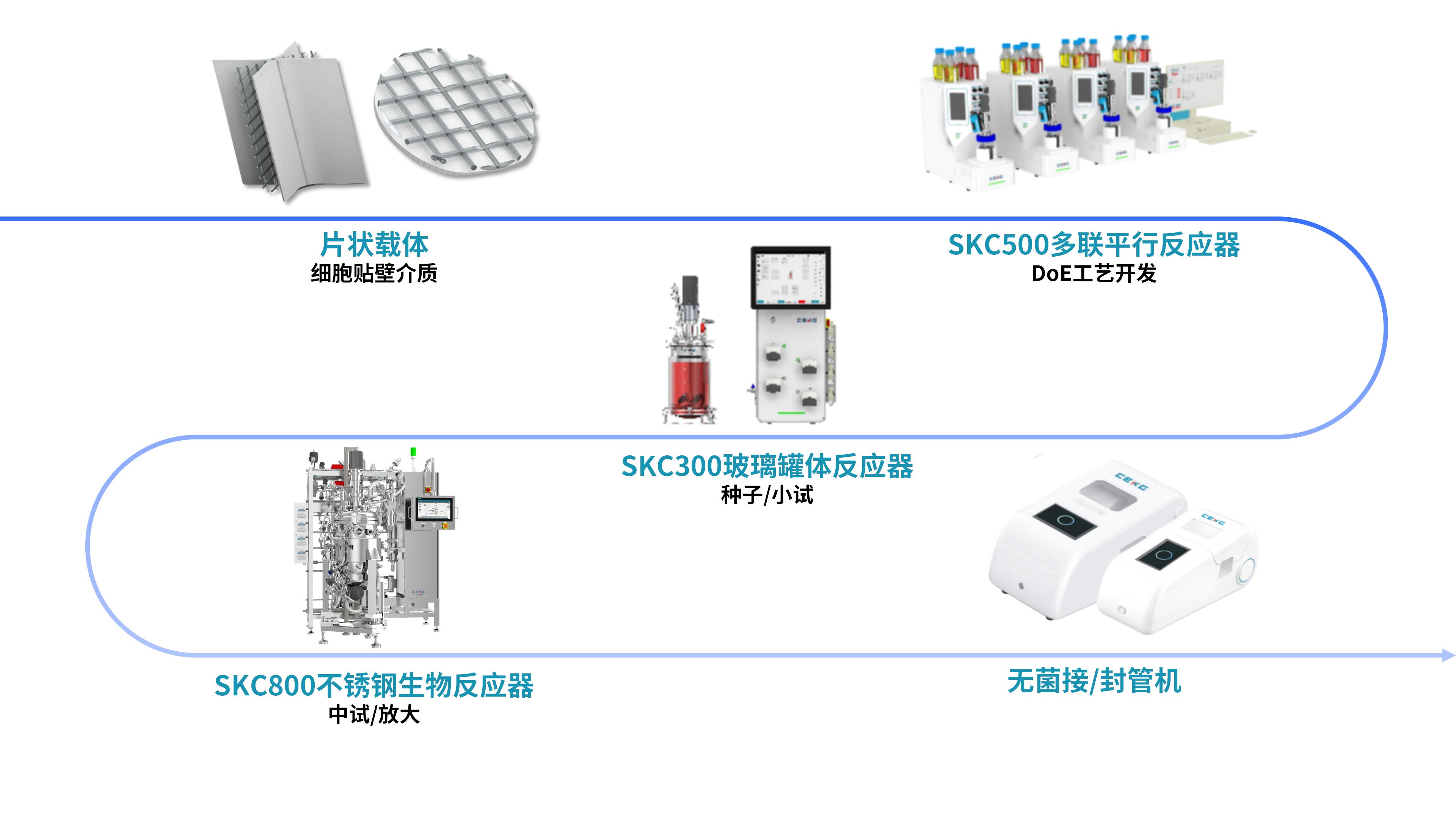 SKC系列反应器工艺开发方案_01.jpg