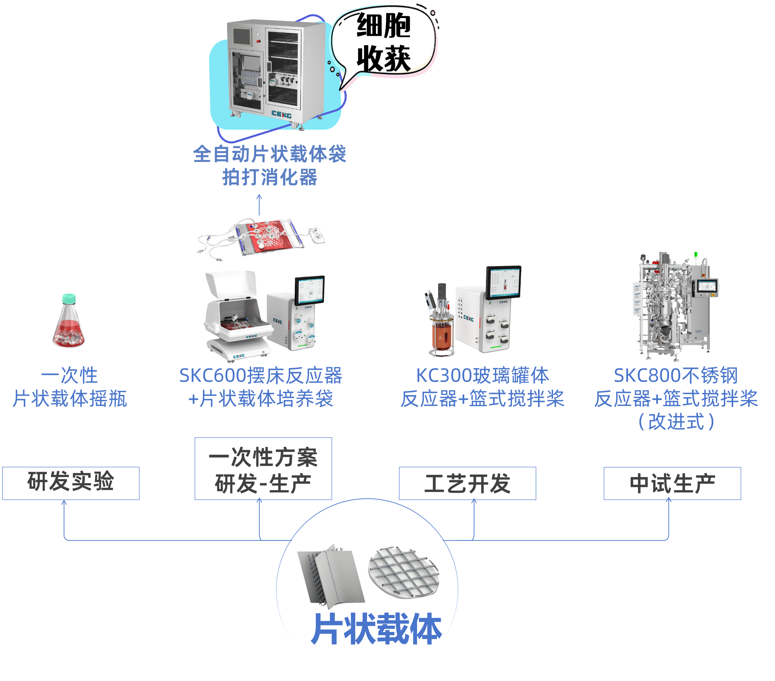 202609081 - 压缩) 202609081 - 压缩)